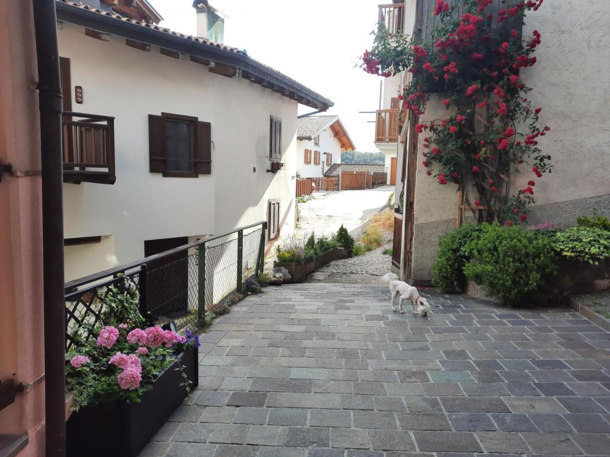 L'Antica Canonica Di Casa Bernardi, Wi-Fi Posto Auto Pet Friendly Trento Bagian luar foto
